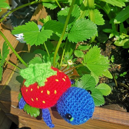 Strawberry turtle