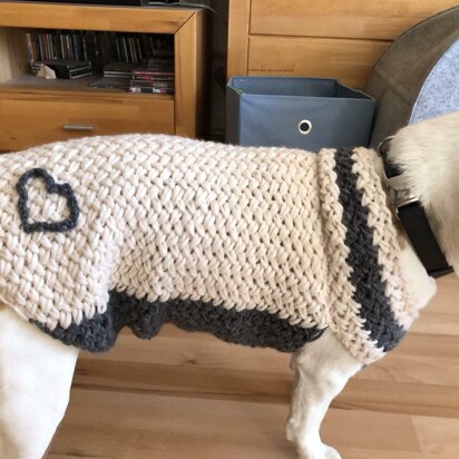 Hundepullover gestrickt