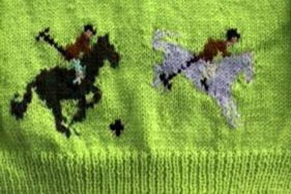 Jumping horses and Polo Ponies sweater