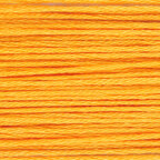 Paintbox Crafts 6 Strand Embroidery Floss 12 Skein Value Pack - Butternut Squash (30)