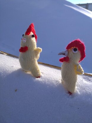 Funny rooster knitting pattern