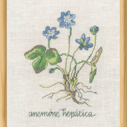 Permin Blue Anemone Cross Stitch Kit - 20x30cm