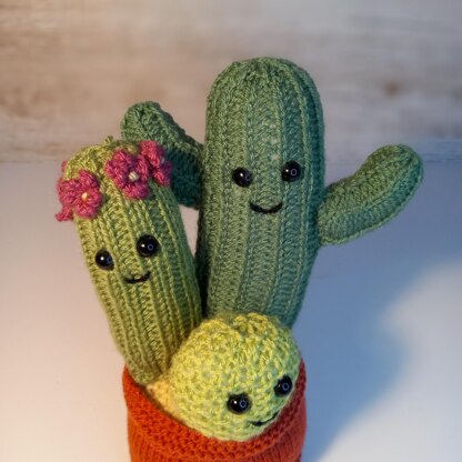 Knitted Cactus Family