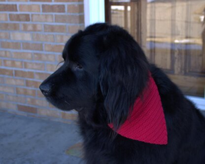 Big Dog Bandana Solid and Plaid