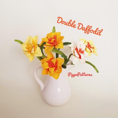 Double Daffodil