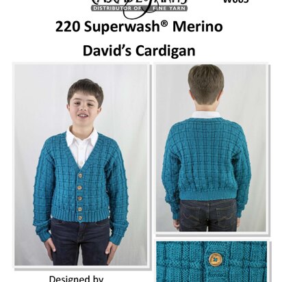 David’s Cardigan in Cascade Yarns 220 Superwash® Merino  - W665 - Downloadable PDF