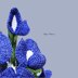 Bluebonnet