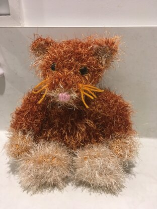 Cat for wee girl who has a Ginger Maine Coon cat