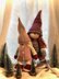 Gnelfy and Gnevie the Gnomes