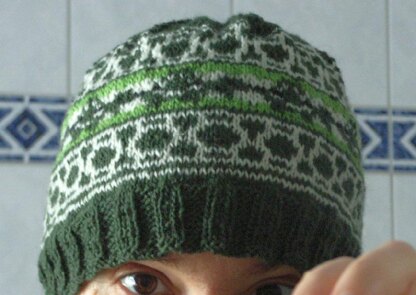 Turtle beanie