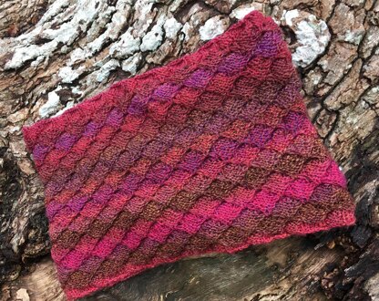 Fiery Dragon Skin Cowl