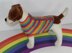 Small Dog Rainbow 4ply Back Button Up Coat