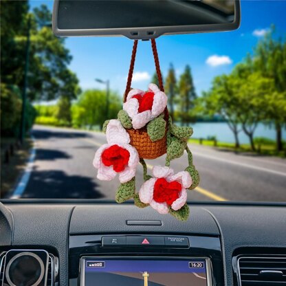 Orchid Basket Car HangingOrchid Basket Car Hanging