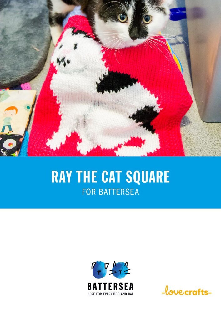 Battersea dog best sale blanket knitting pattern