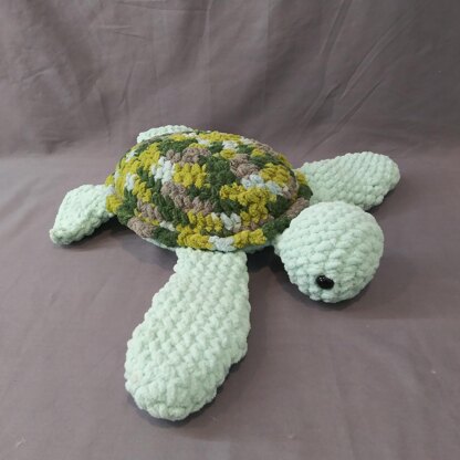 Sea Turtle