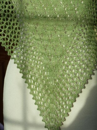 Lili Wen Fach - Snowdrop Shawl