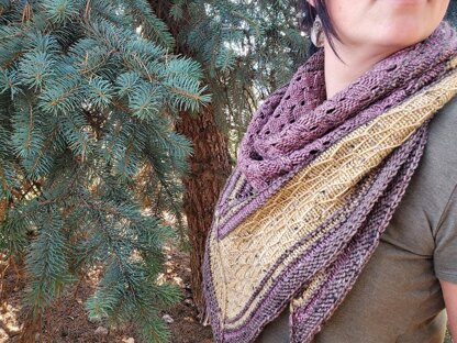 Miette Shawl