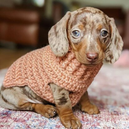 XXS Puppy Sweater