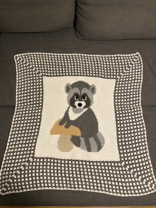 Raccoon - baby blanket