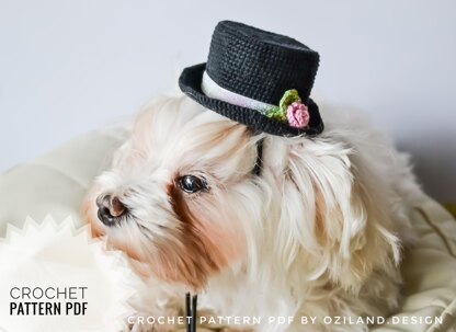 Wedding top hat for dog