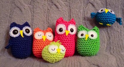 Rainbow owls