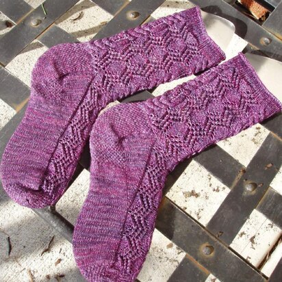 Petaloptyon - knitting pattern