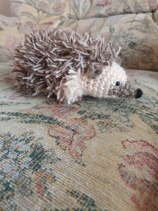 hedgehog