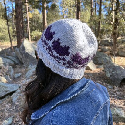 Kitty and Crossbones Beanie - knitting pattern