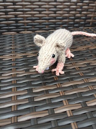 Raymond the Rat