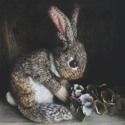 Wild Rabbit