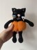 Pumpkin kitty