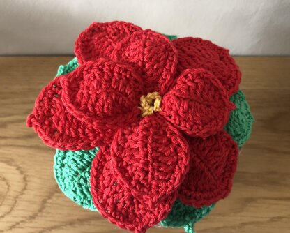 Poinsettia and Pot