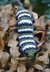 Monarch Caterpillar and Chrysallis