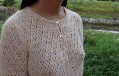 Kaiyose Cardigan