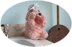 1:12th scale Poodle toilet roll cover