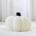 Project : Chenille Pumpkin