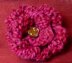 Sweet & Simple Knitted Rosette