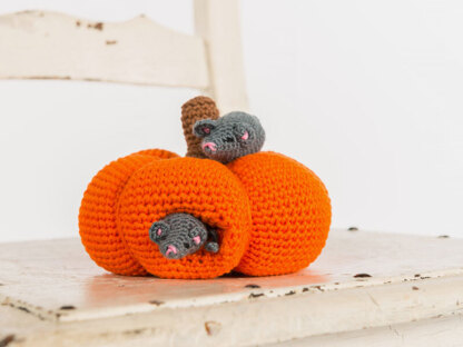 Pumpkin and mice