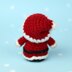 Santa Claus snow globe