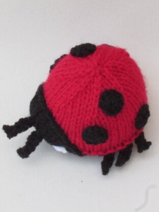 Ladybird Chocolate Orange Cosy