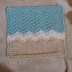 "Seas the Day" Wash Cloth