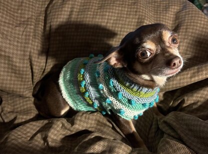 Cheer For the Elves Dog Sweater