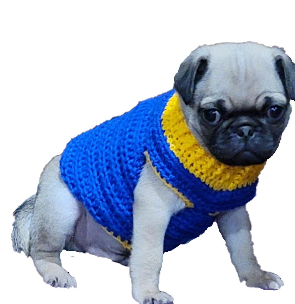 Pug puppy sweater new arrivals