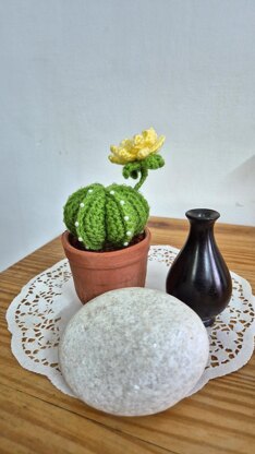 Cactus plant with flower