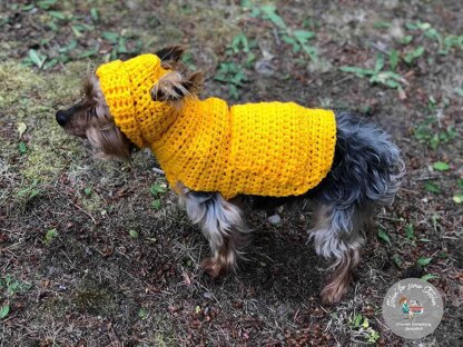 Small Dog Hoodie Sweater