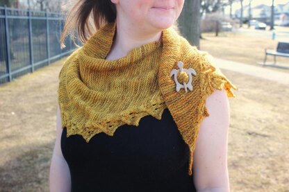 Tournesol Shawlette