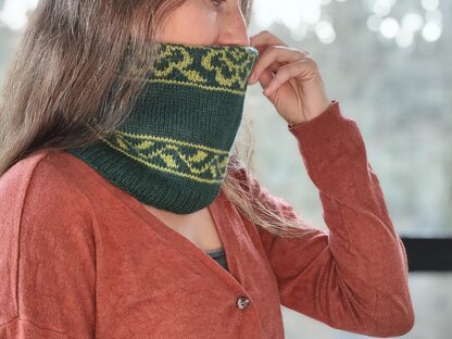 Springtime Cowl