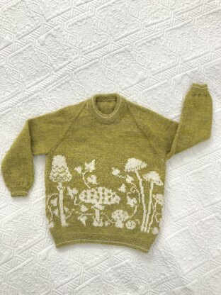 Toadstool Time Sweater