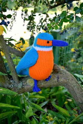 Kenneth the Kingfisher