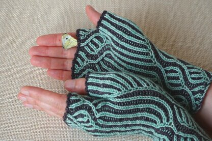 The Naturalist's Mitts